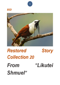 תמונה ממוזערת של likutei shmuel - Stories
